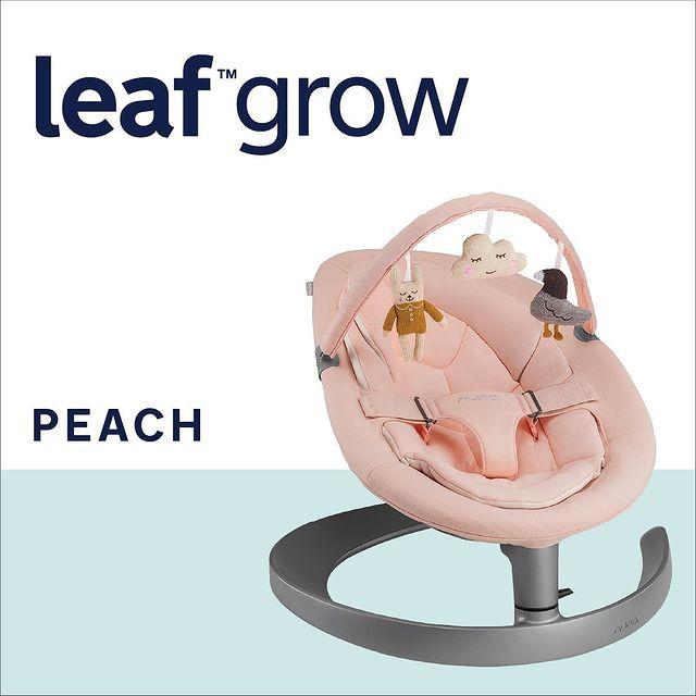 Nuna leaf clearance toy